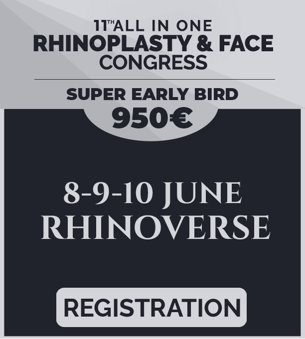 rhinoversee copy